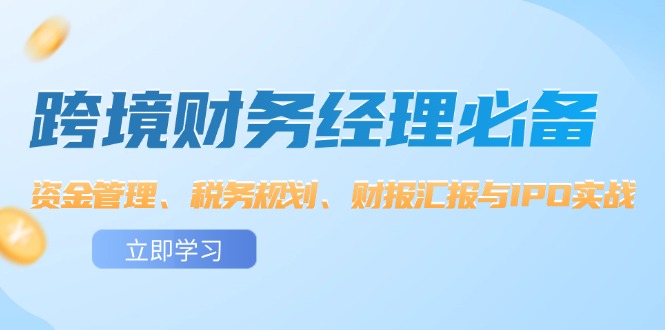 （12323期）跨境 财务经理必备：资金管理、税务规划、财报汇报与IPO实战-厅小耀-资源网-最新项目分享网