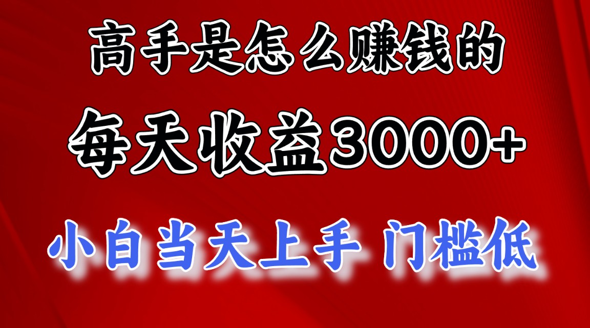 （12144期）1天收益3000+，月收益10万以上，24年8月份爆火项目-厅小耀-资源网-最新项目分享网