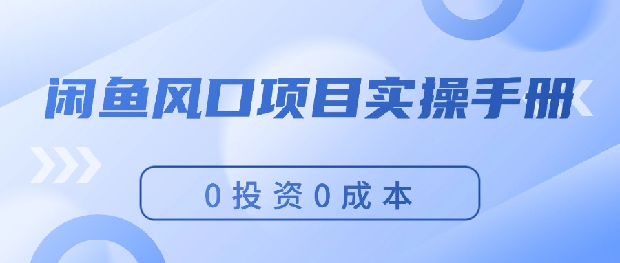 (11923期)闲鱼风口项目实操手册,0投资0成本,让你做到,月入过万,新手可做-厅小耀-资源网-最新项目分享网
